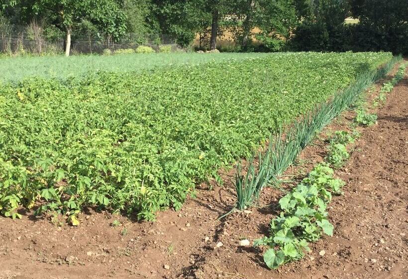 Сельский отель La Fonte