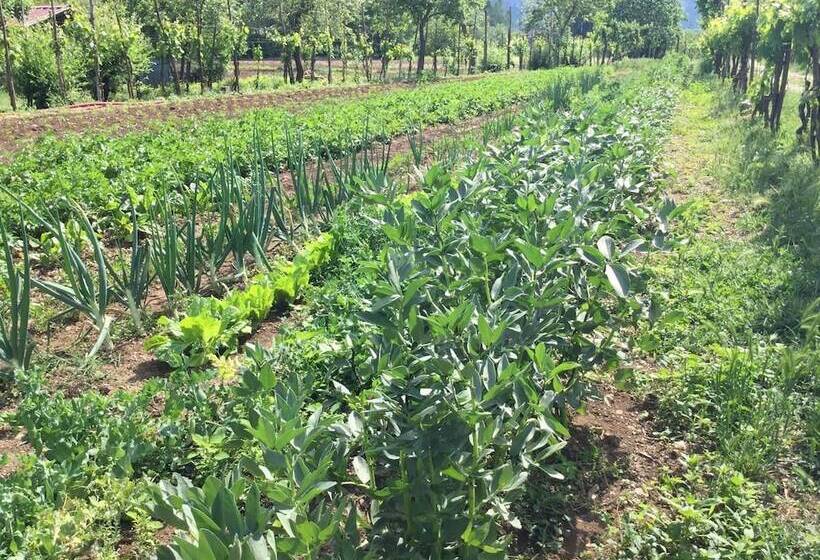 Сельский отель La Fonte