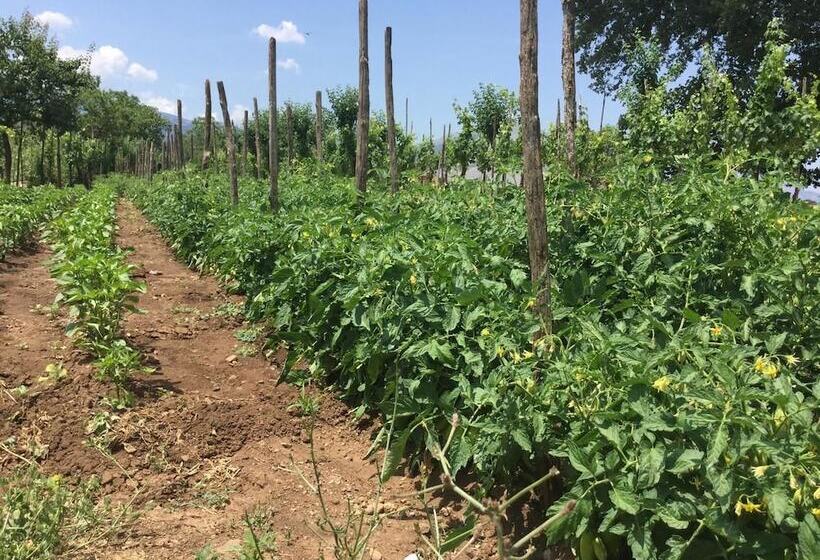 Сельский отель La Fonte