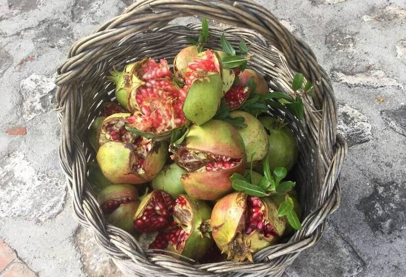 Сельский отель La Fonte