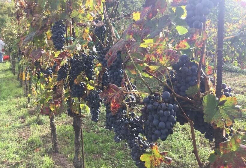 Сельский отель La Fonte