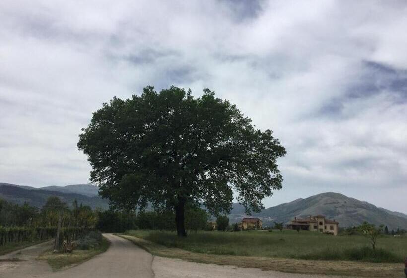 Сельский отель La Fonte