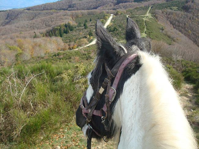 田舎風ホテル Tenuta Selvaggia