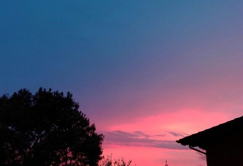 פנסיון La Tana Del Gatto