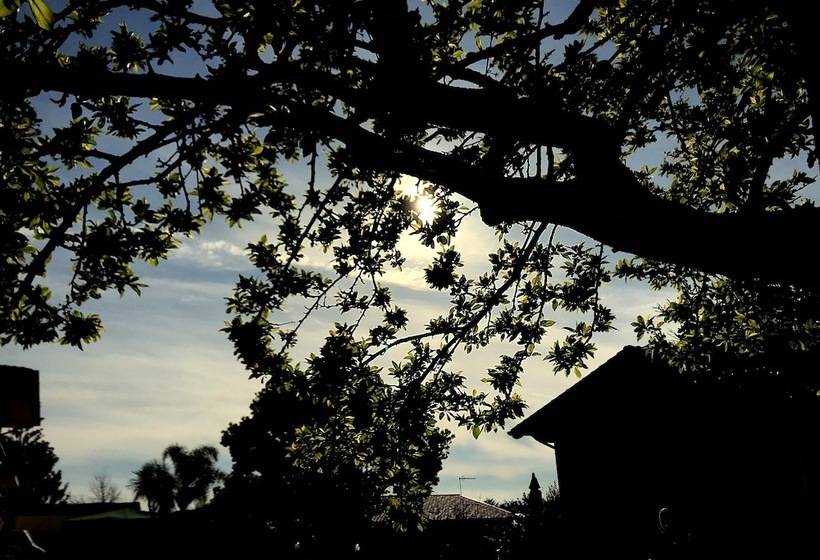 פנסיון La Tana Del Gatto