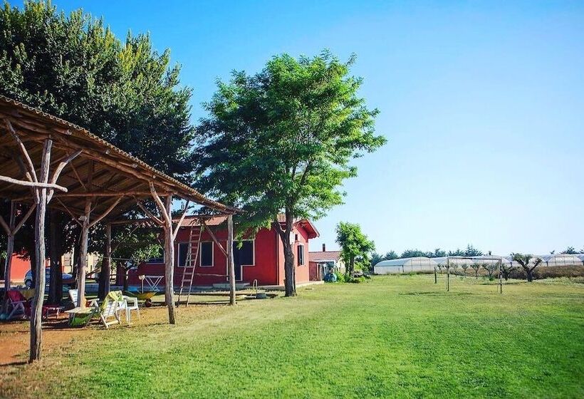 פנסיון La Tana Del Gatto