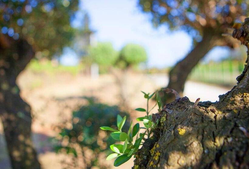 פנסיון La Tana Del Gatto