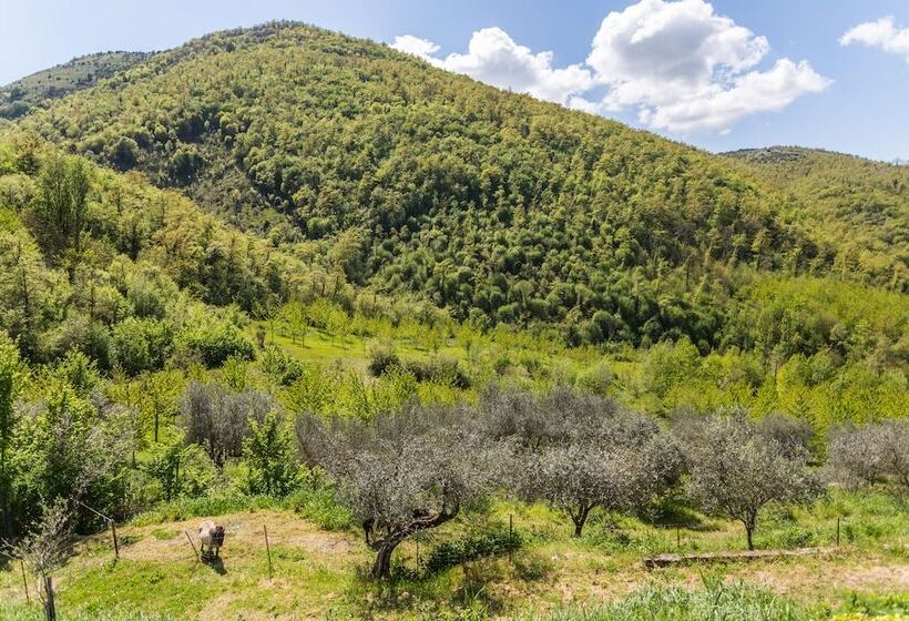 פנסיון The Sanctuary By Caimeli