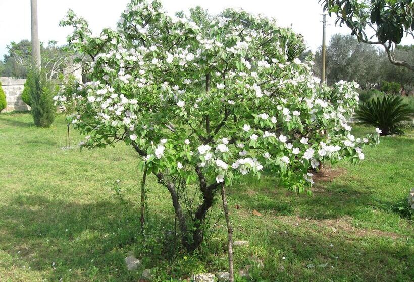 Villa Rita Bed & Breakfast