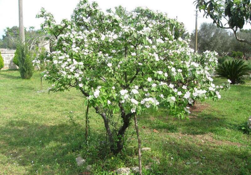 Villa Rita Bed & Breakfast