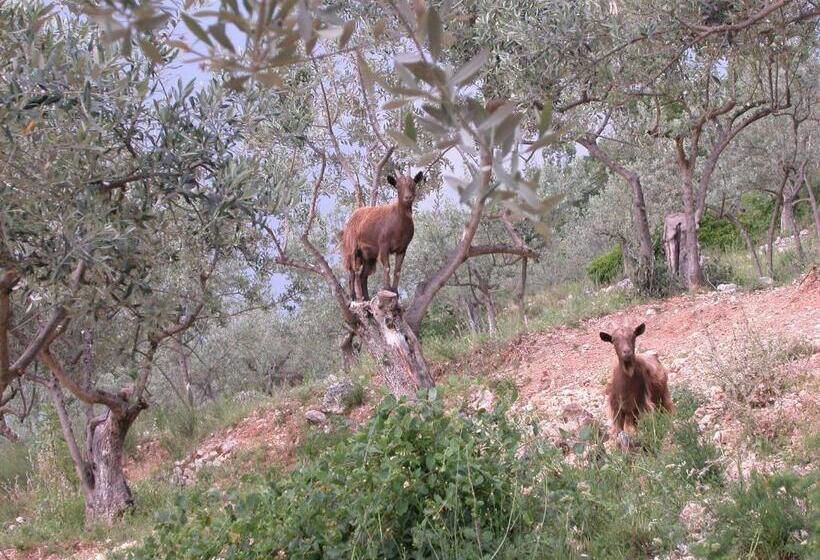 Agriturismo Istrice Innamorato