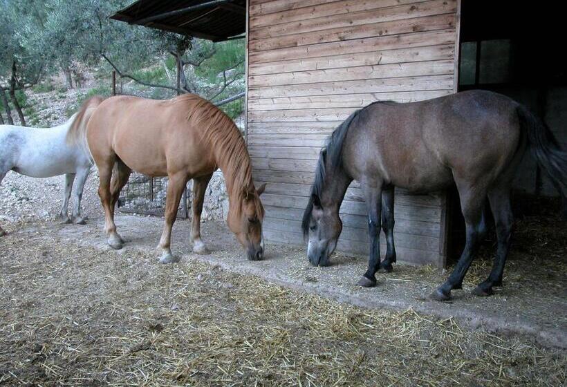 Agriturismo Istrice Innamorato