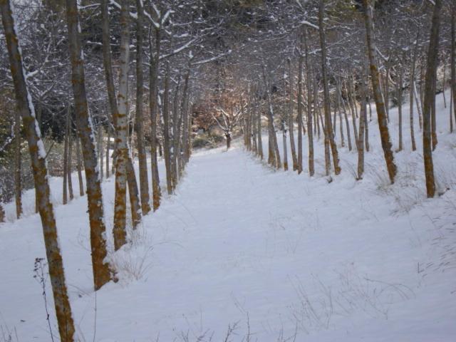 Agriturismo Istrice Innamorato