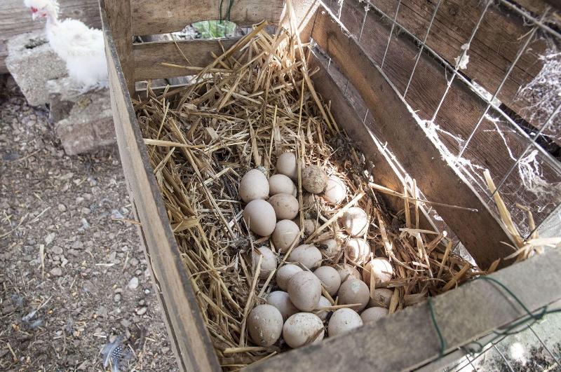 Agriturismo Kelle Terre