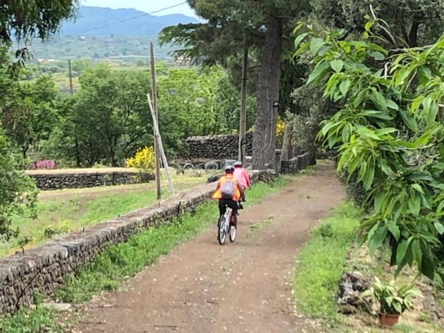 Agriturismo Sole Di Sicilia