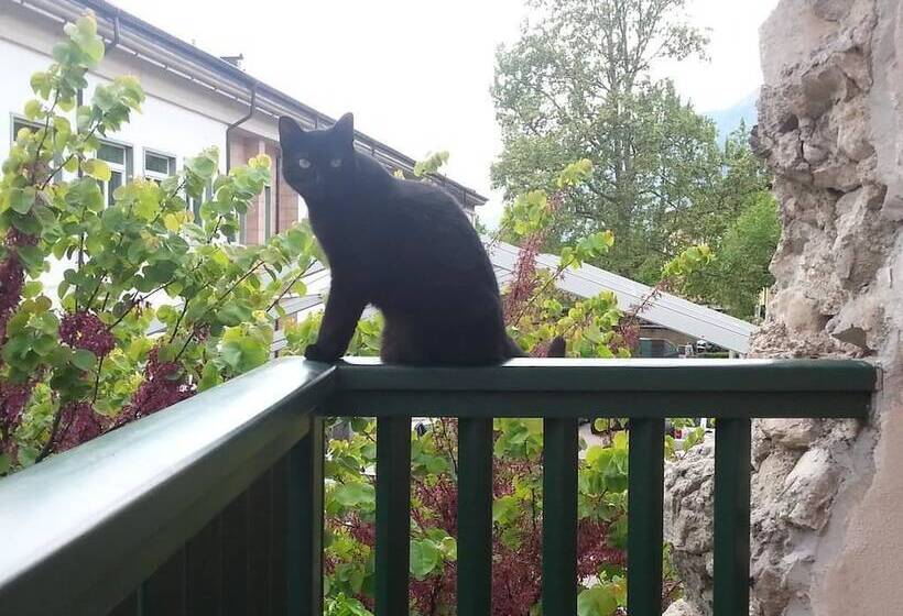 B&b Al Gatto Nero