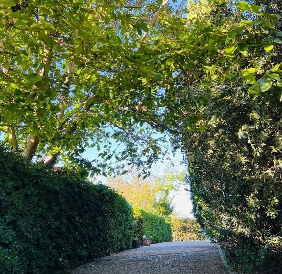 צימר Il Melarancio