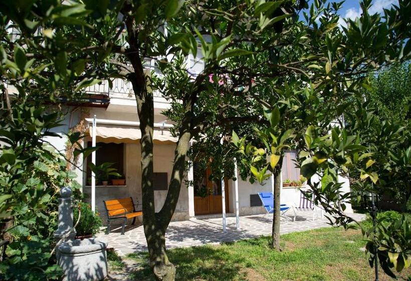 Bed and Breakfast Il Moro Bianco