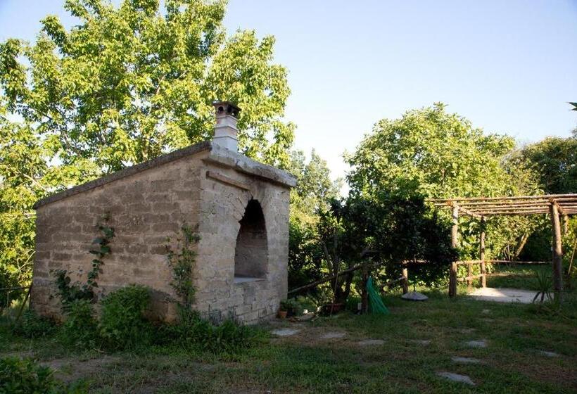 민박 Il Moro Bianco