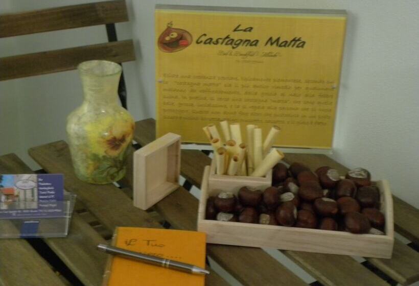 مبيت وإفطار La Castagna Matta