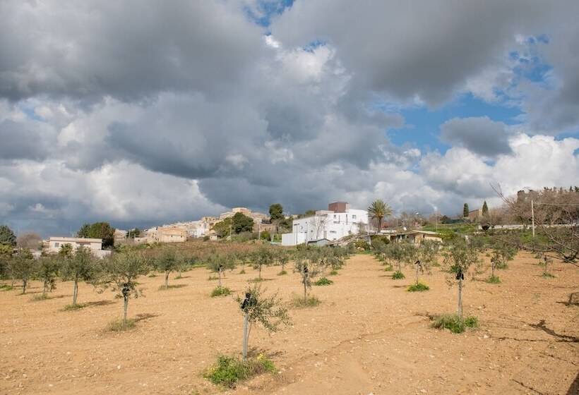 مبيت وإفطار La Terrazza Di Harmakhis