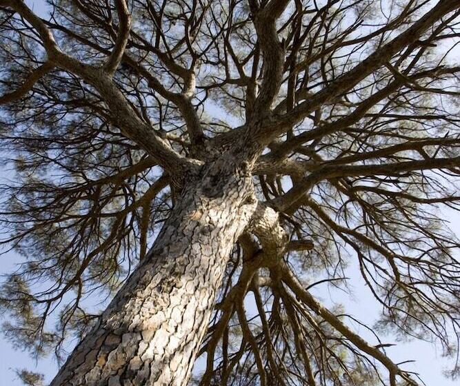 田舎風ホテル Agriturismo Carbona