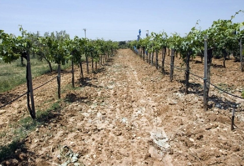 田舎風ホテル Agriturismo Carbona