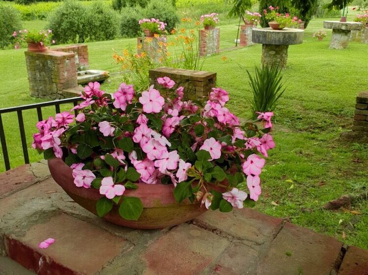 田舎風ホテル Agriturismo Il Sole Verde