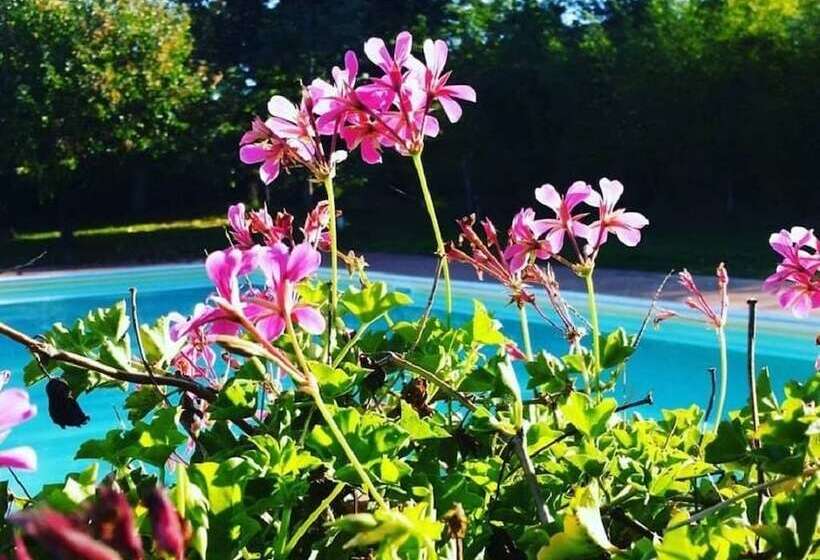 田舎風ホテル Agriturismo Il Sole Verde