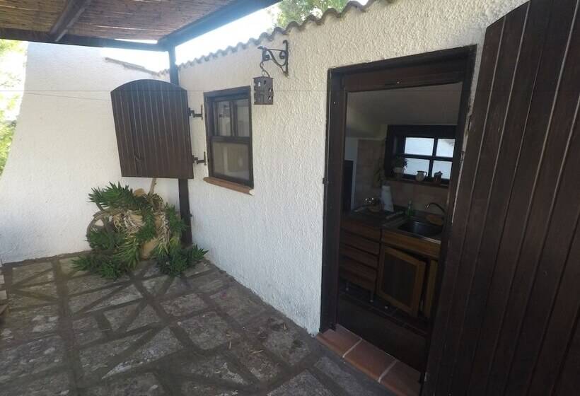 בית מלון כפרי Agriturismo Masseria Piutri