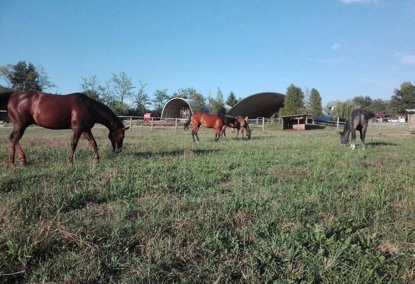 בית מלון כפרי Agriturismo Fano S Farm