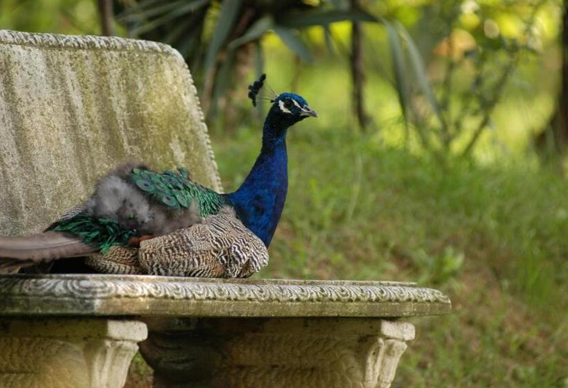 田舎風ホテル Fattoria Paradiso