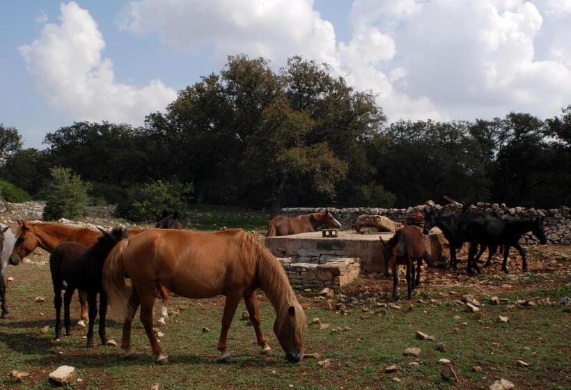 교외 호텔 Agriturismo Iazzo Scagno
