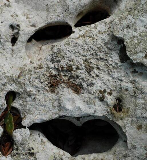 교외 호텔 Agriturismo Iazzo Scagno