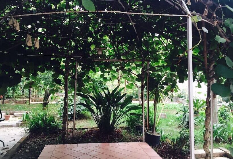 بنسيون Aloha House