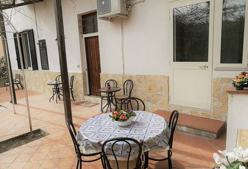 بنسيون Aloha House