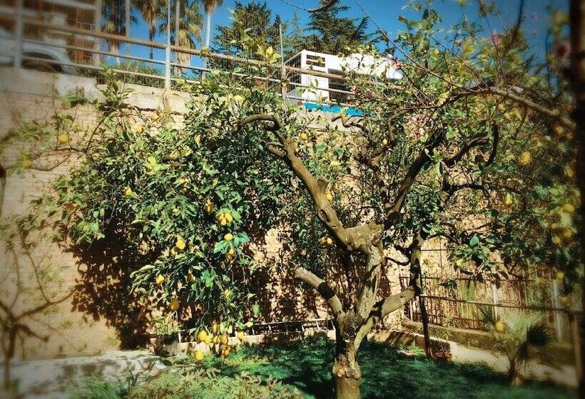 بنسيون Aloha House