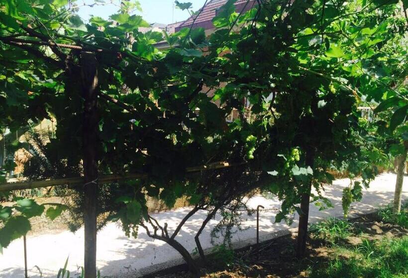 بنسيون Aloha House