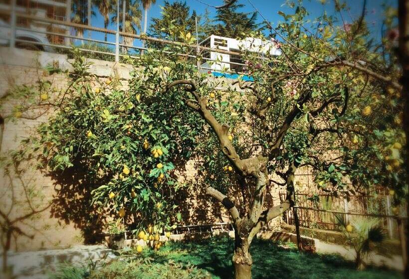 بنسيون Aloha House