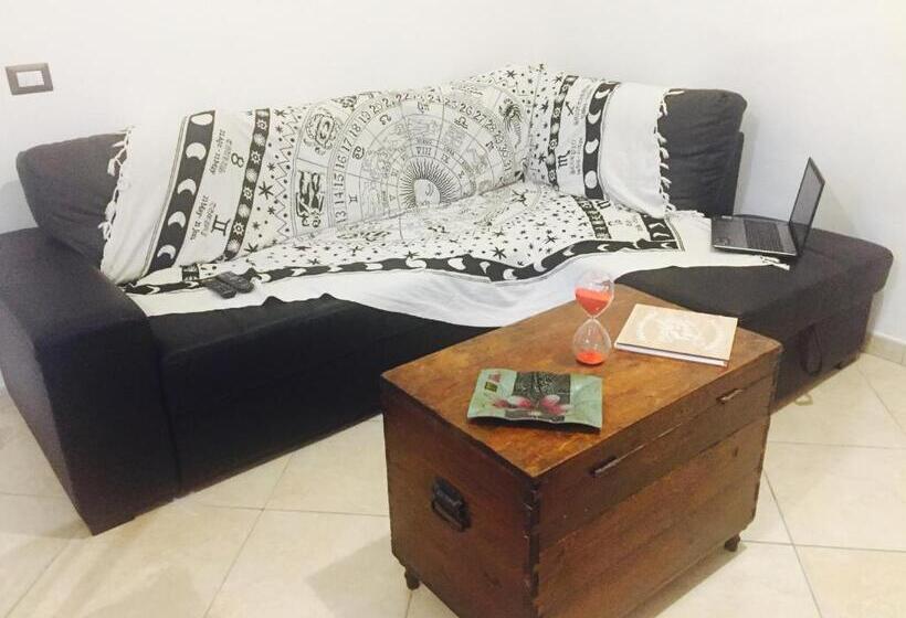 بنسيون Aloha House