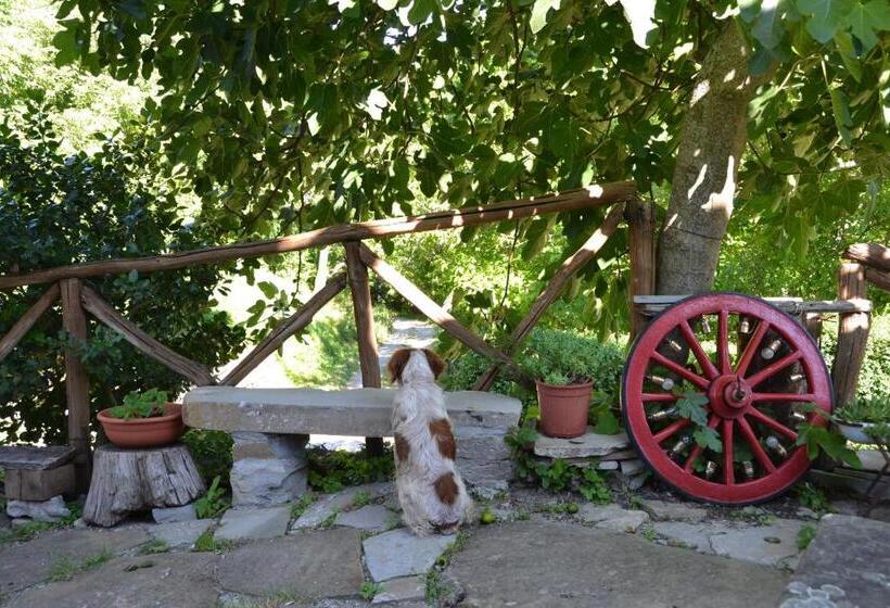 پانسیون B&b Il Palazzo