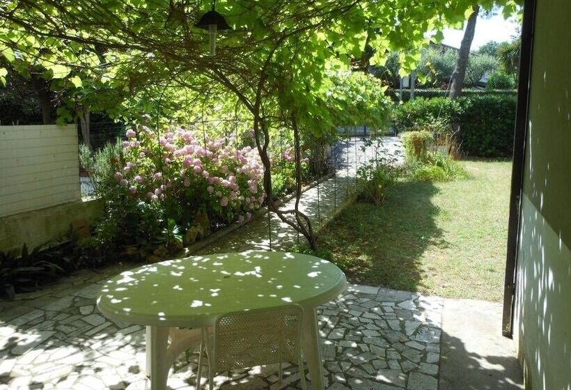 פנסיון Mare E Relax Numana