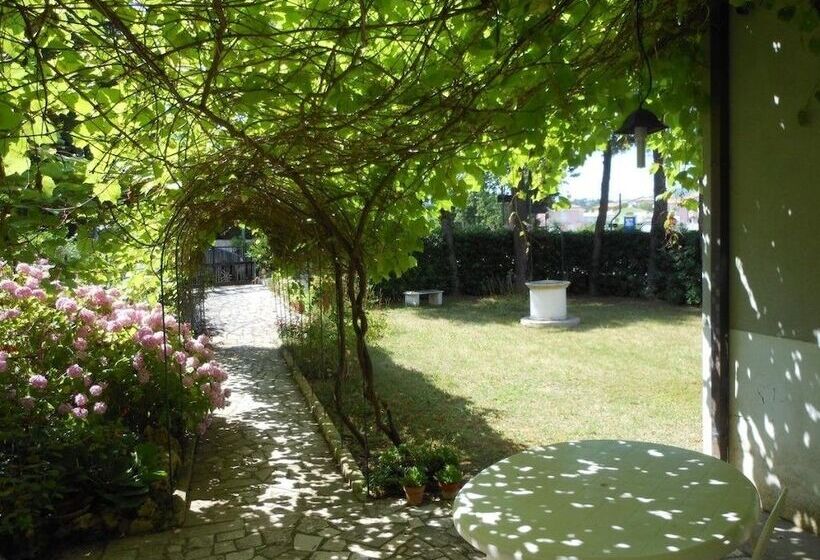 פנסיון Mare E Relax Numana