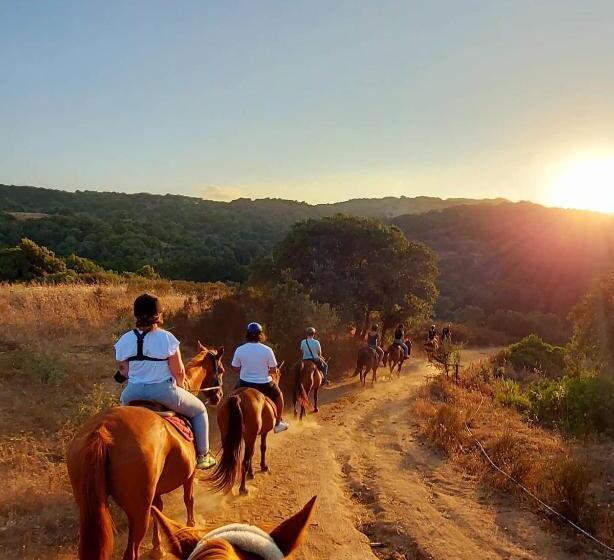 膳宿费 Villa Nicoletta