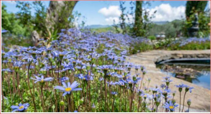 ペンション Villarose