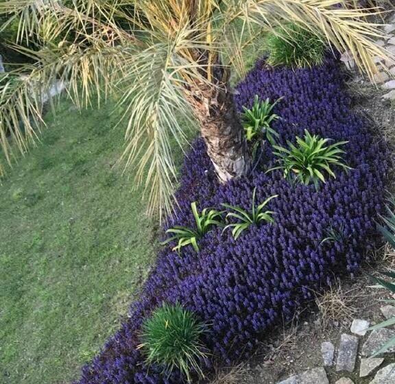 ペンション Villarose