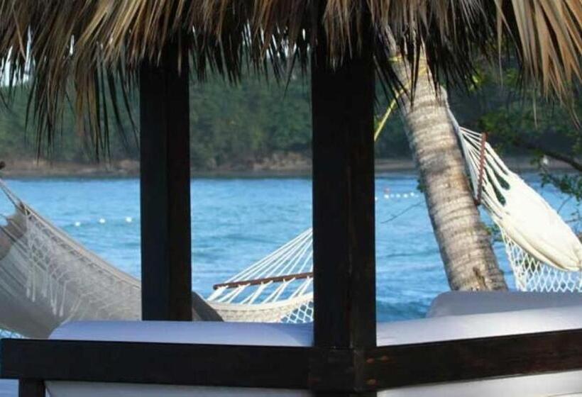 Cofresi Palm Beach & Spa Resort  All Inclusive