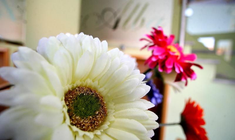 בית מלון כפרי Alba