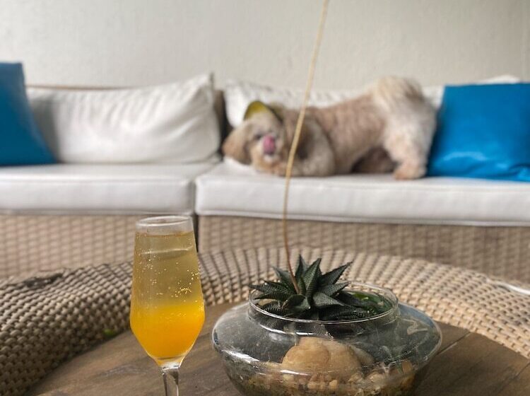 فندق Armação Dos Búzios Pousada Design