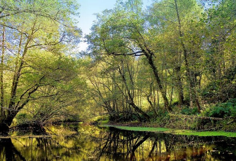 ホテル Balneario Rio Pambre